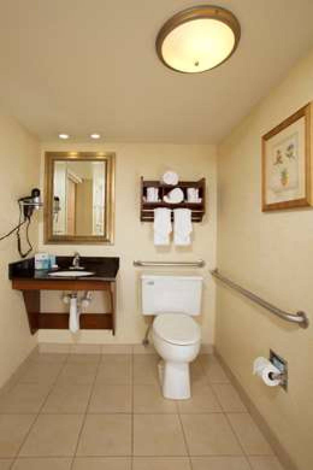 Hampton Inn Alexandria/Pentagon South, VA 3