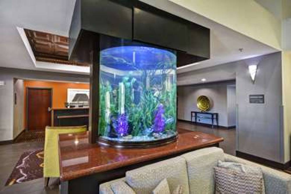 Hampton Inn &amp; Suites Corpus Christi I-37 - Na 3