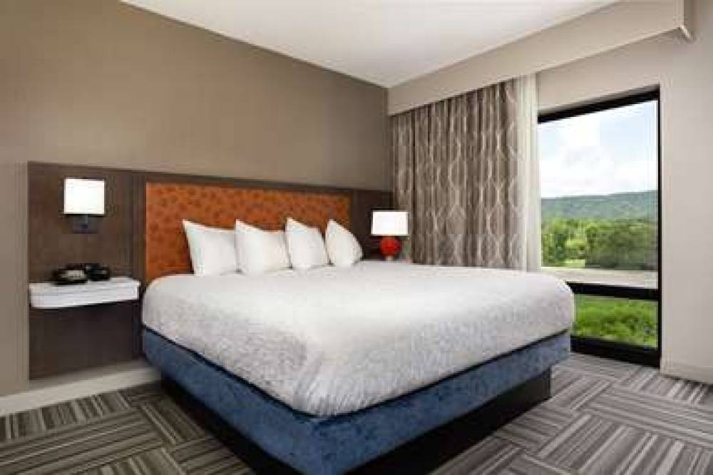 Hampton Inn Kingsport 9