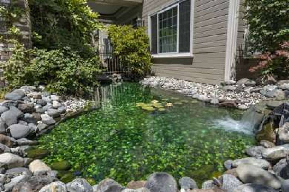 Hampton Inn Ukiah
