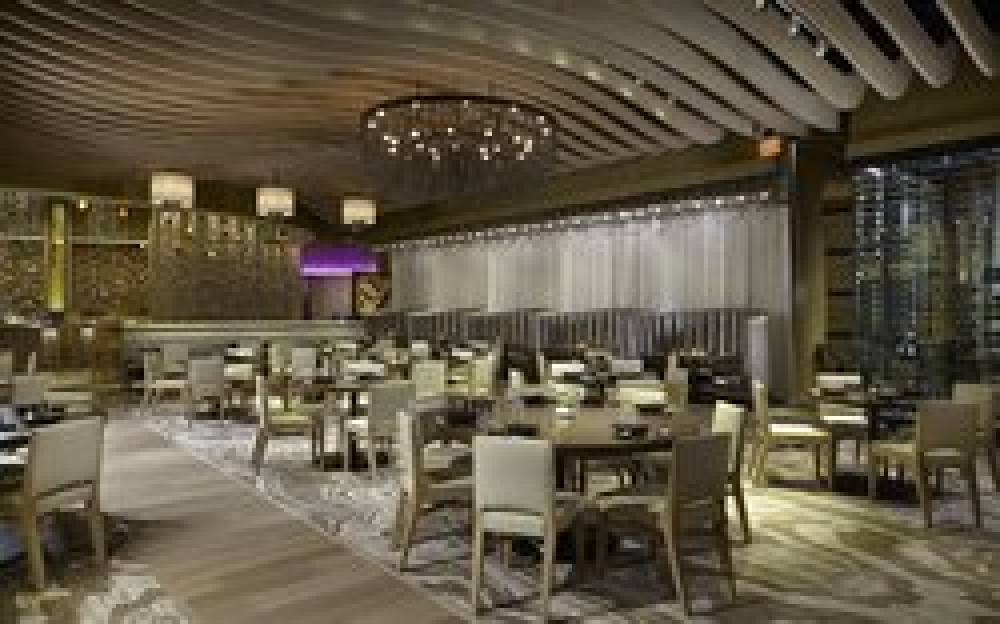 HARD ROCK HOTEL AND CASINO 3
