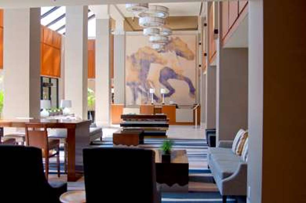 Hilton Arlington, TX 4
