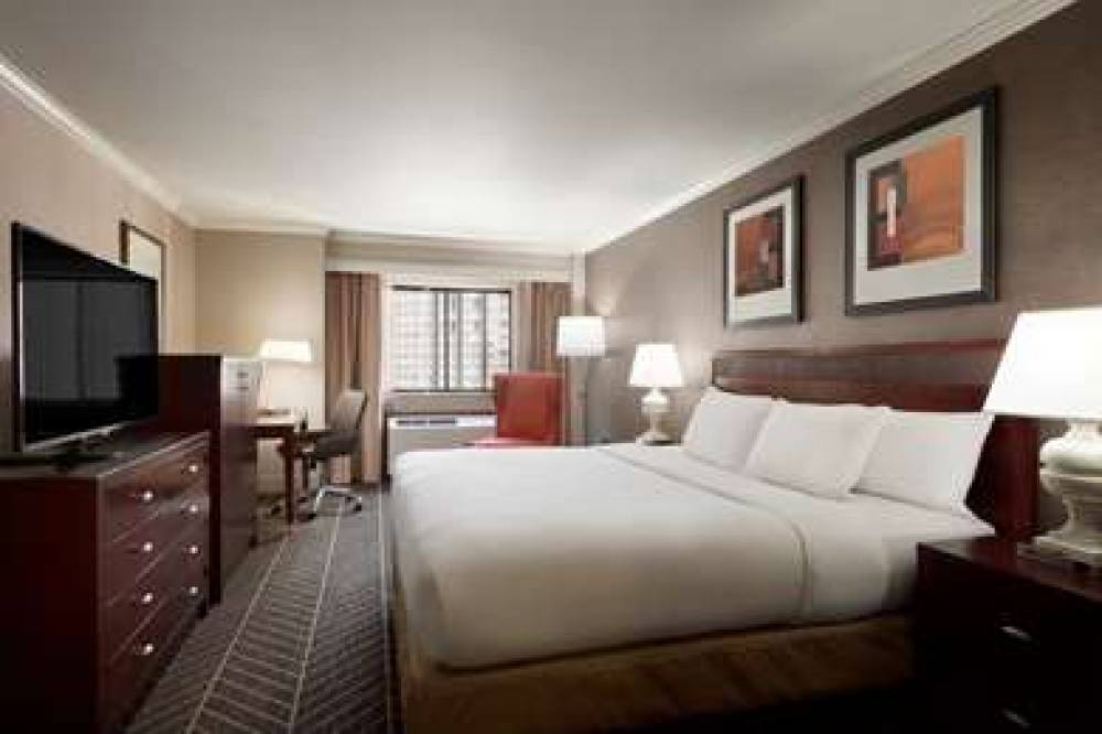 Hilton Arlington, VA 5