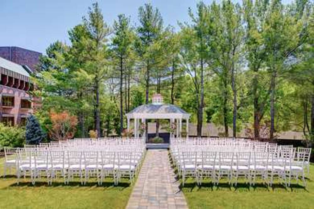 Hilton Boston Dedham