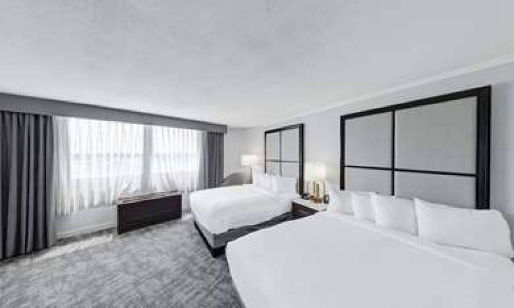 Hilton Chicago/Oak Lawn, IL 4