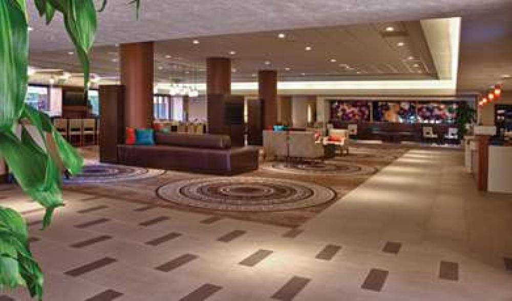 Hilton Concord 4