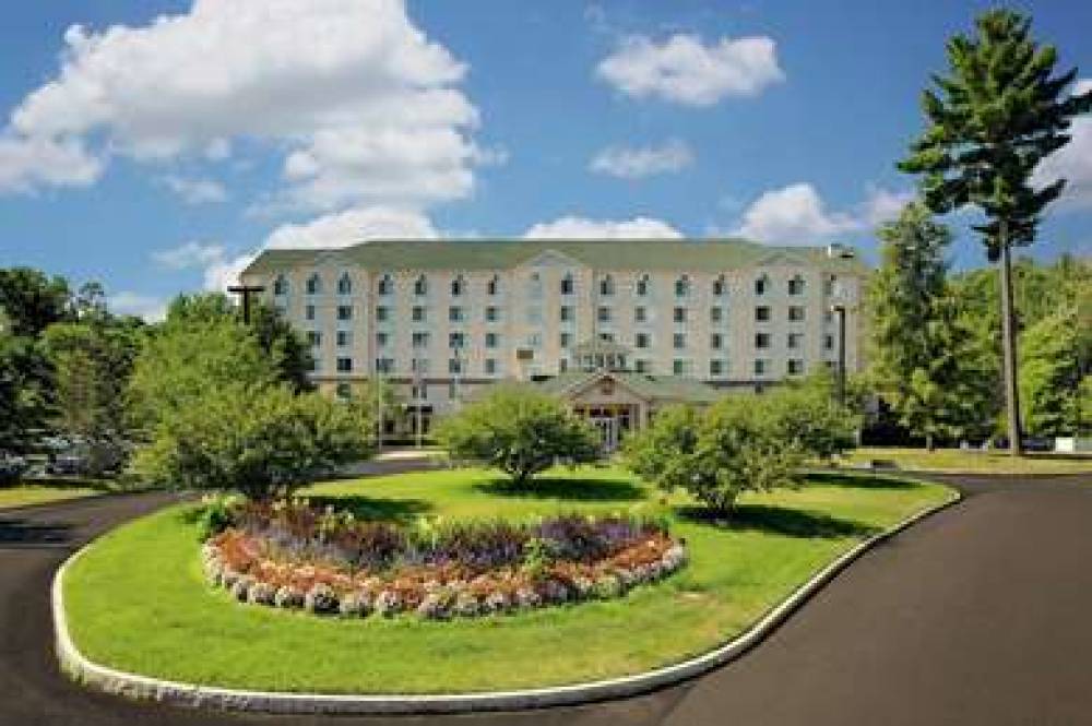 Hilton Garden Inn Albany Airport 3