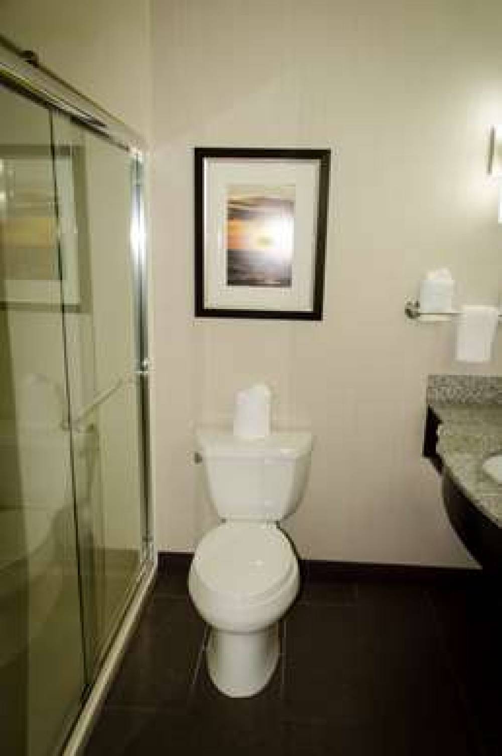 HILTON GARDEN INN BENTON HARBOR / S 2