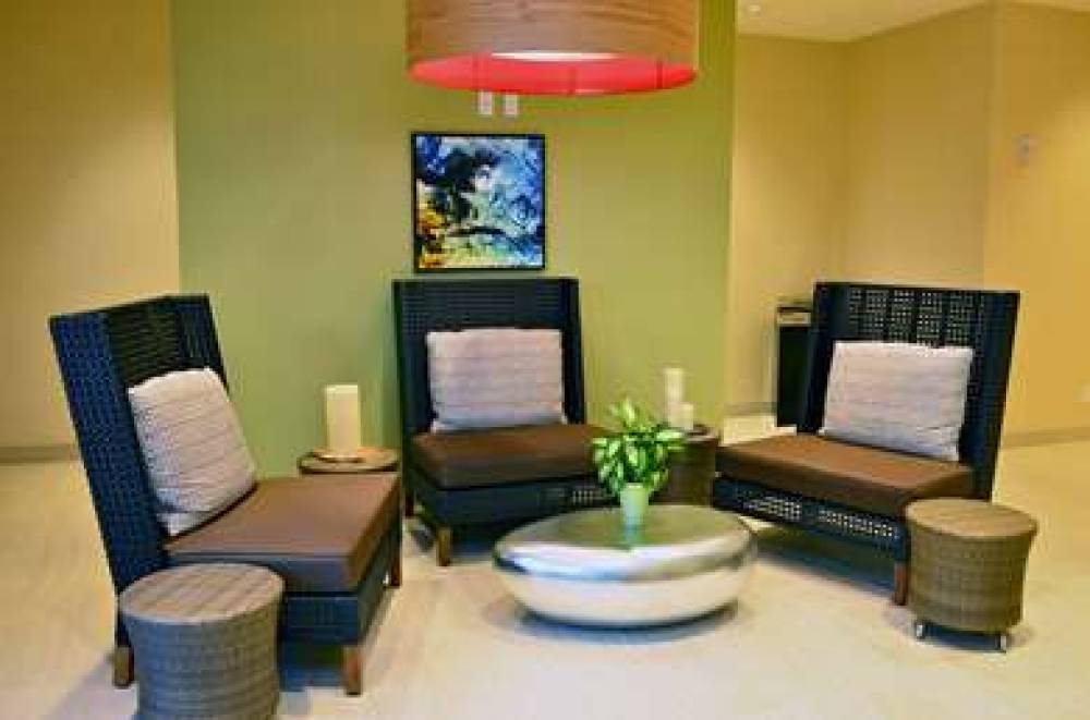 HILTON GARDEN INN DAYTONA BEACH OCE 8