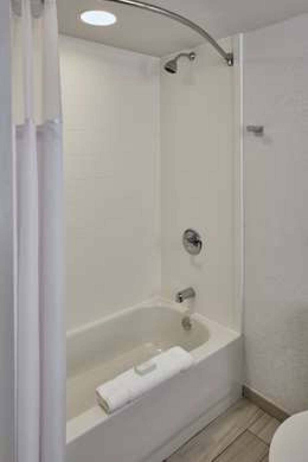 Hilton Garden Inn Detroit Downtown 9