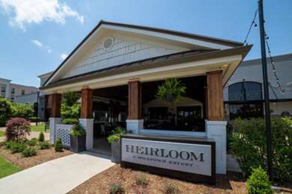 HILTON GARDEN INN SPARTANBURG 10