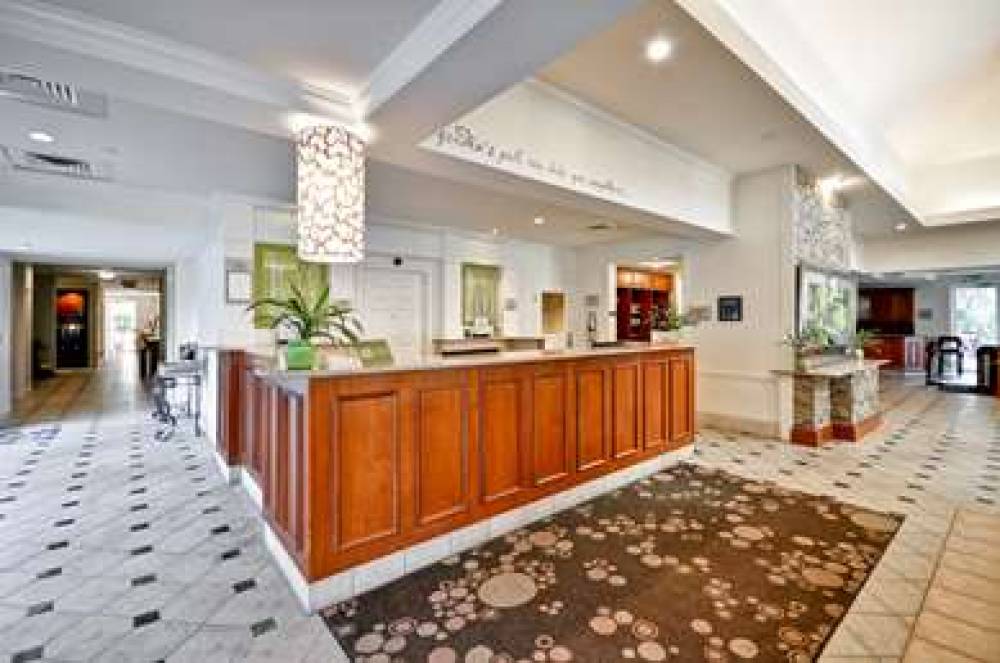 Hilton Garden Inn Tampa North 10