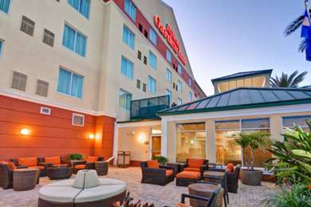 Hilton Garden Inn Tampa Northwest/Oldsmar 6