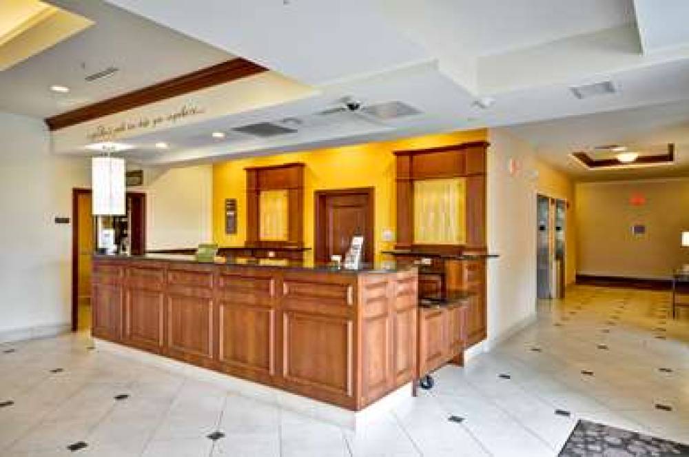 Hilton Garden Inn Tampa Northwest/Oldsmar 10