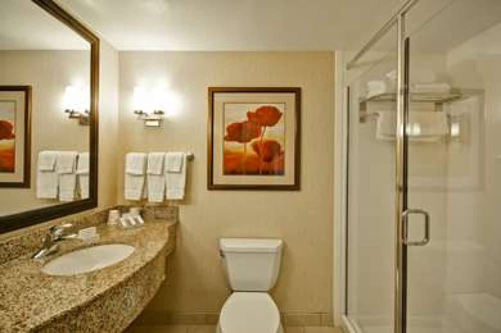 Hilton Garden Inn Tampa/Riverview/Brandon, FL 7
