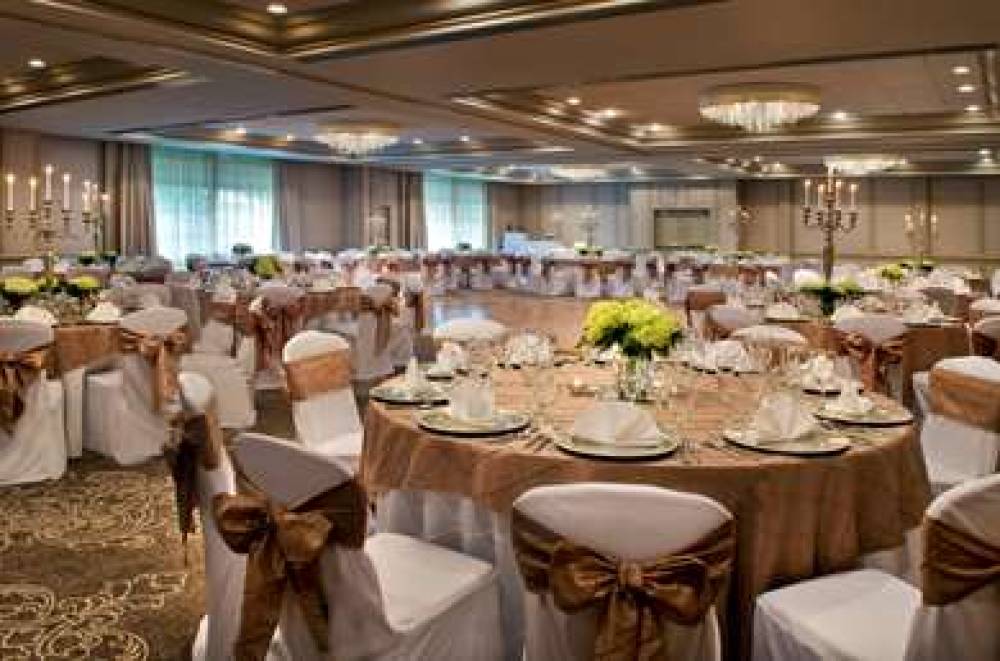Hilton Greenville, SC 8