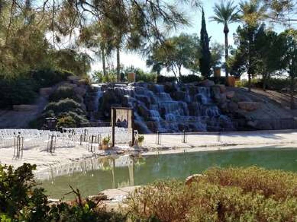 Hilton Lake Las Vegas Resort &amp; Spa 3