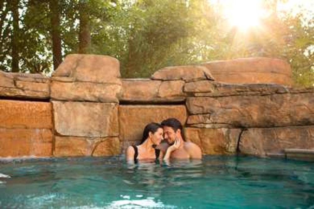 Hilton Orlando Lake Buena Vista - Disney Springs  3