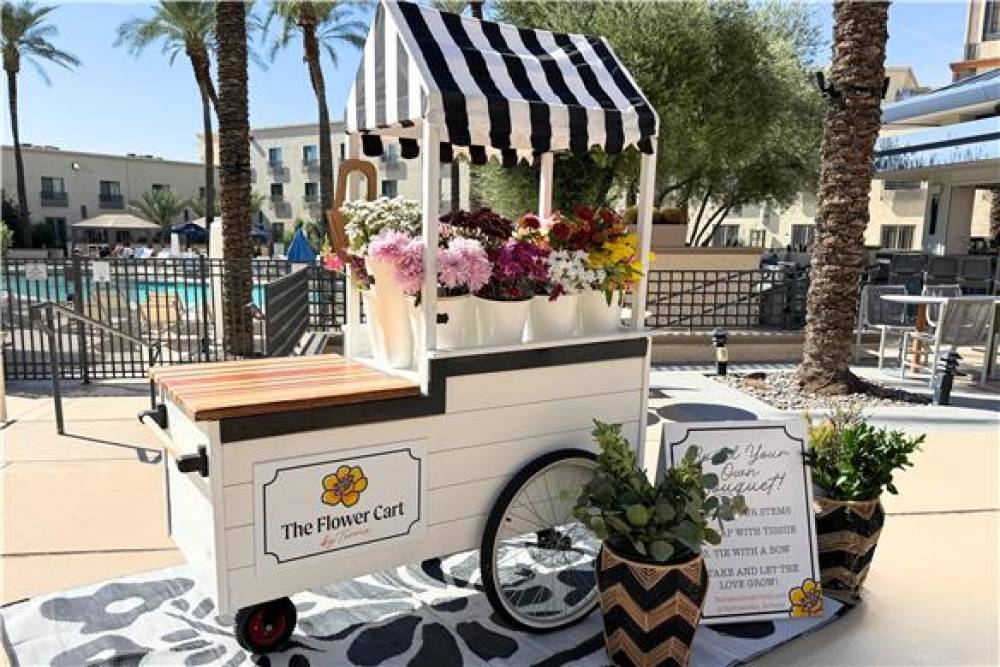 Hilton Scottsdale Resort &amp; Villas 8