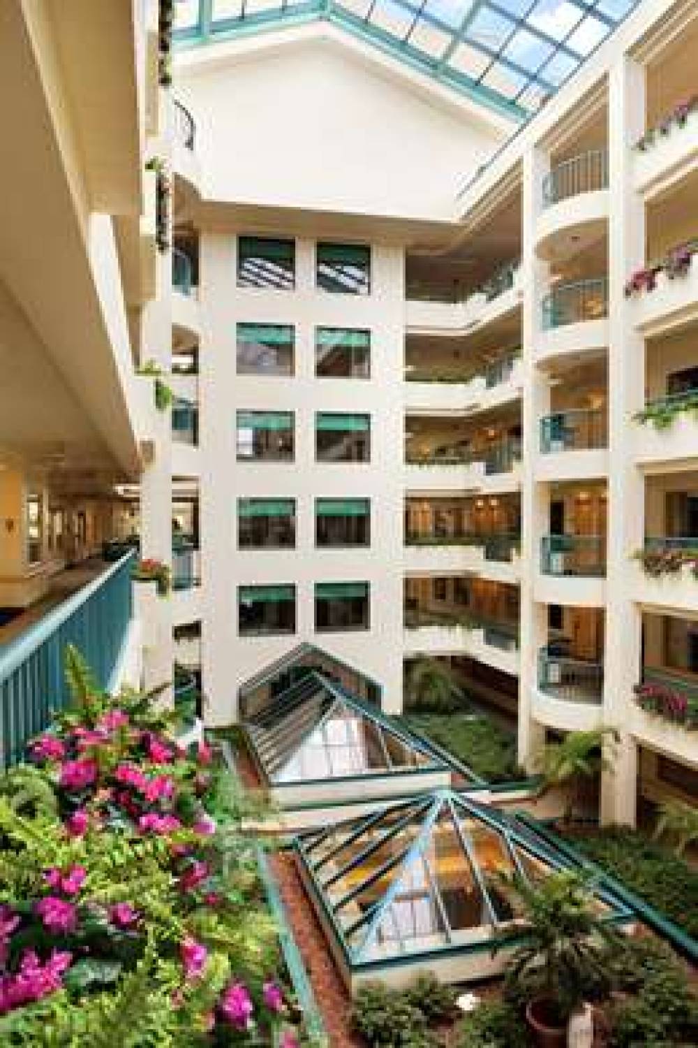 Hilton Suites Boca Raton 8