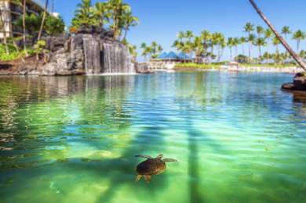 Hilton Waikoloa Village 7