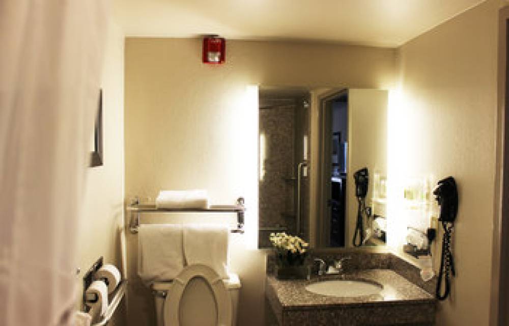 Holiday Inn ATLANTA-NORTHLAKE 5