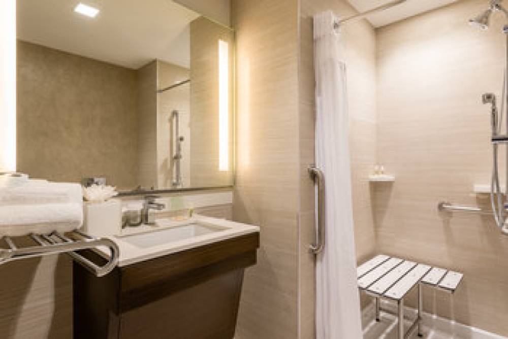 HOLIDAY INN BROOKLYN DOWNTOWN 2