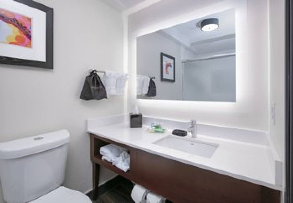 Holiday Inn DALLAS-FORT WORTH AIRPORT S  9