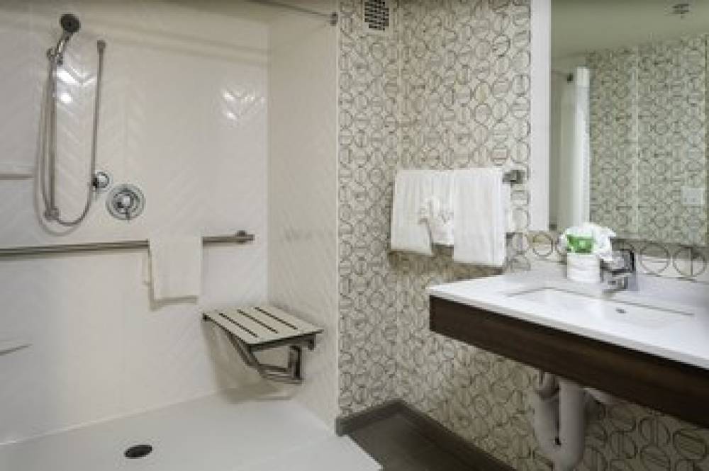HOLIDAY INN DEDHAM CONF CENTER BY I 10