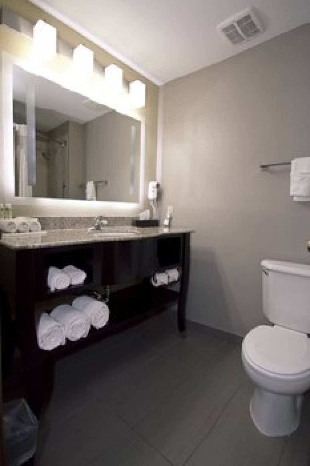 Holiday Inn Express ADRIAN 8