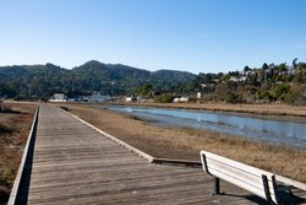 Holiday Inn Express MILL VALLEY SAN FRANCISCO AREA 5