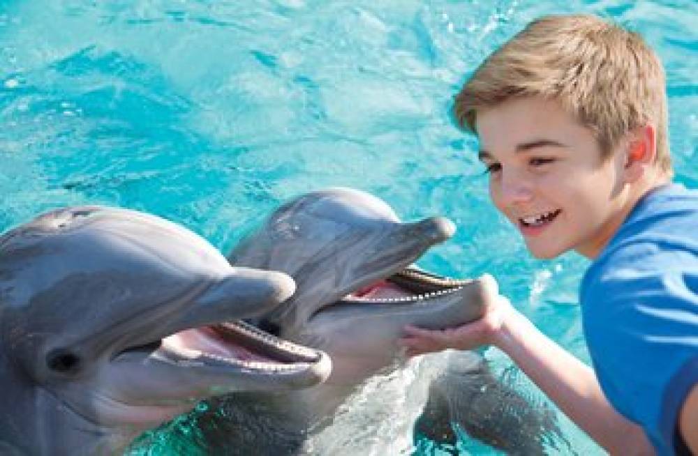 Holiday Inn Express SAN DIEGO-SEA WORLD AREA 3