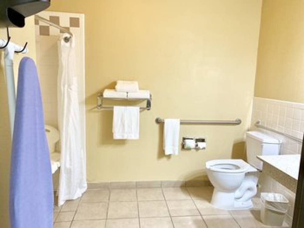 Holiday Inn Express & Suites ALICE 2