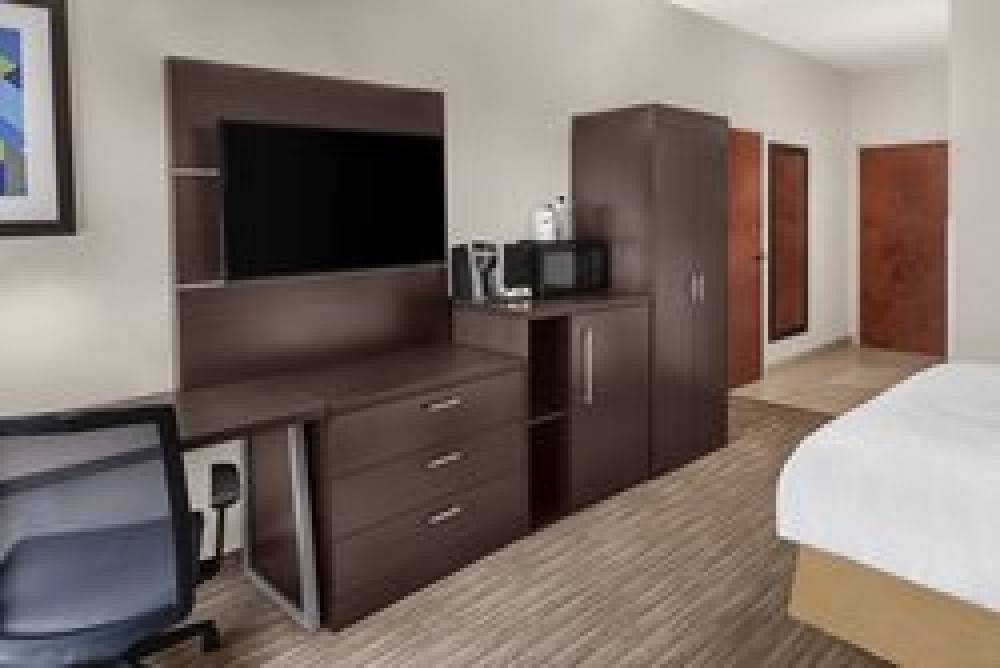 Holiday Inn Express & Suites ASHEVILLE SW - OUTLET CTR AREA 9