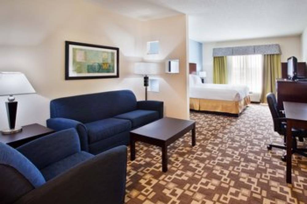 Holiday Inn Express & Suites ATLANTA ARPT WEST - CAMP CREEK 8