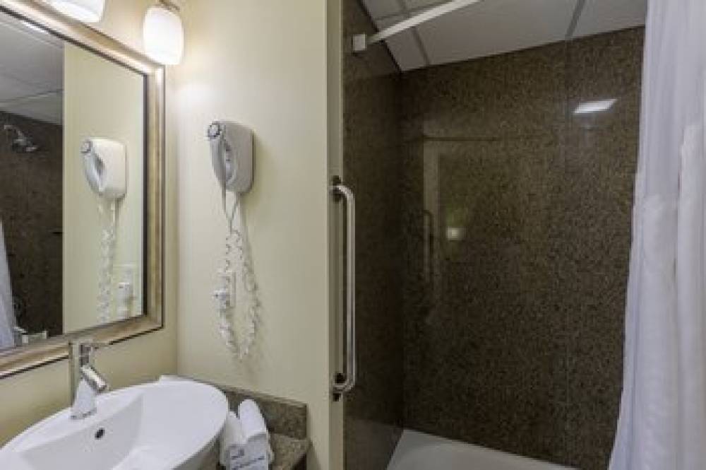 Holiday Inn Express & Suites ATLANTA DOWNTOWN 8