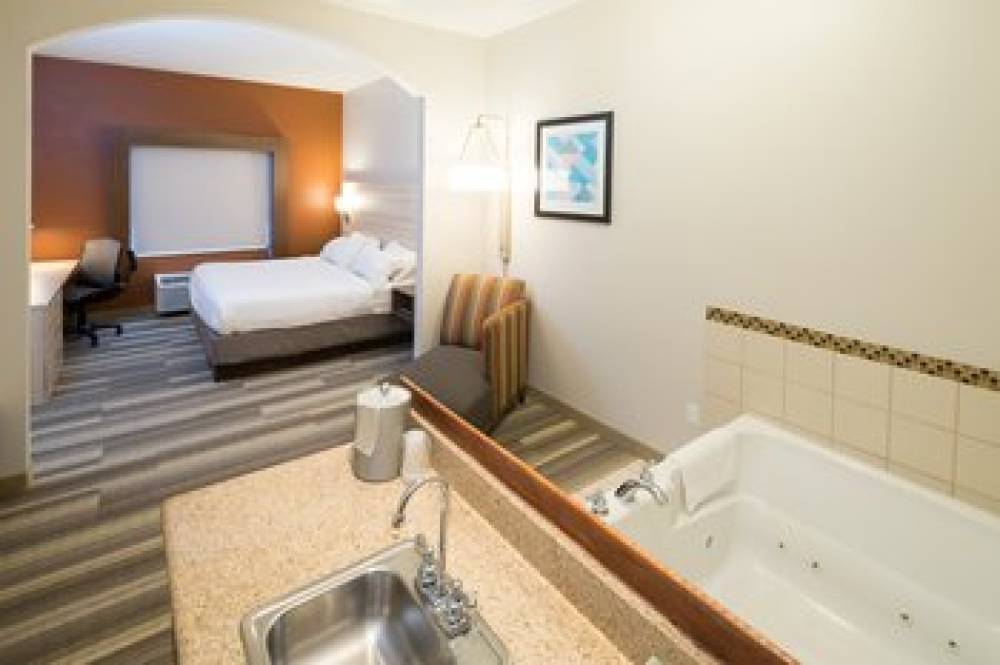 Holiday Inn Express & Suites GRAND BLANC 4