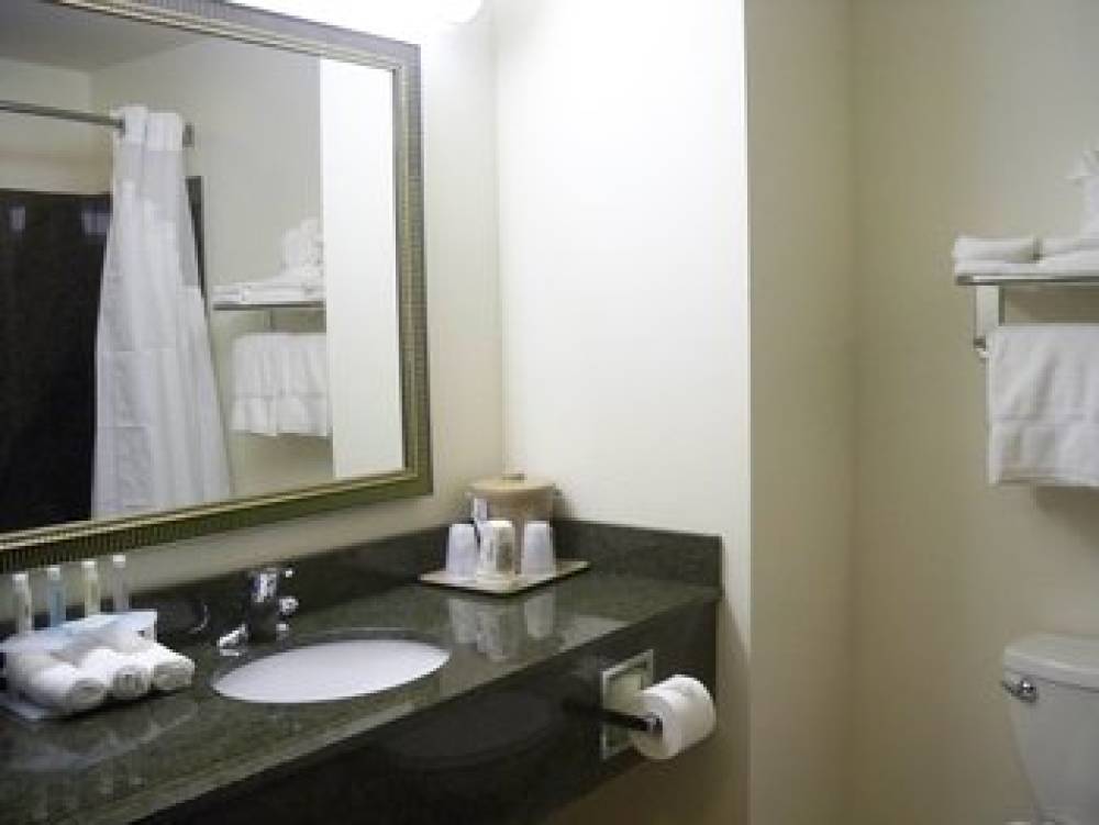 Holiday Inn Express & Suites OMAHA I - 80 4