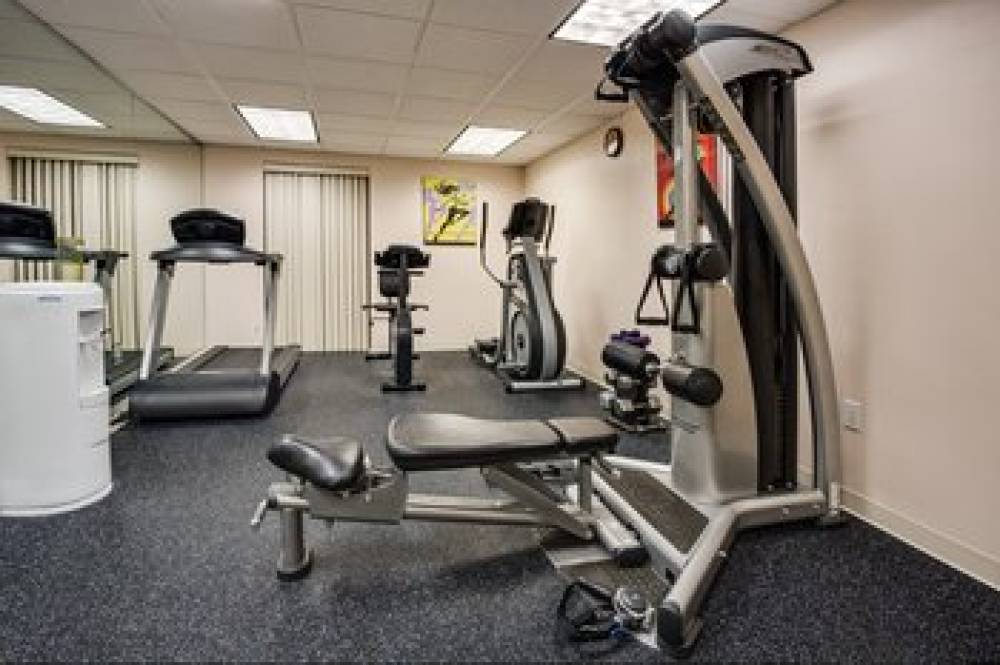Holiday Inn Express & Suites TAMPA NORTHWEST-OLDSMAR 2