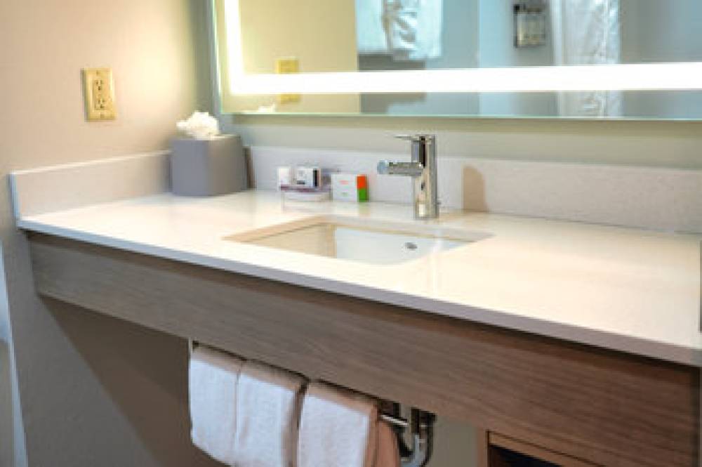 Holiday Inn Express & Suites TAMPA NORTHWEST-OLDSMAR 5