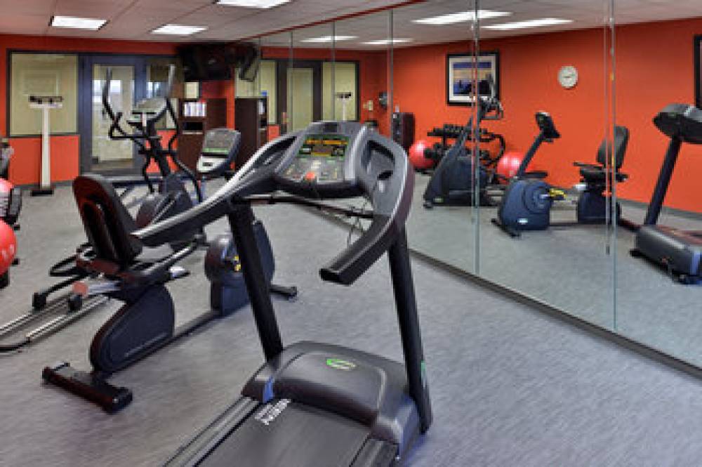 Holiday Inn Express & Suites TAMPA/ROCKY POINT ISLAND 3