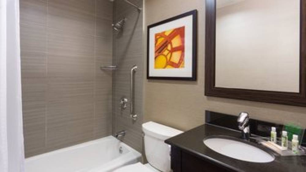 Holiday Inn NYC - LOWER EAST SIDE 8