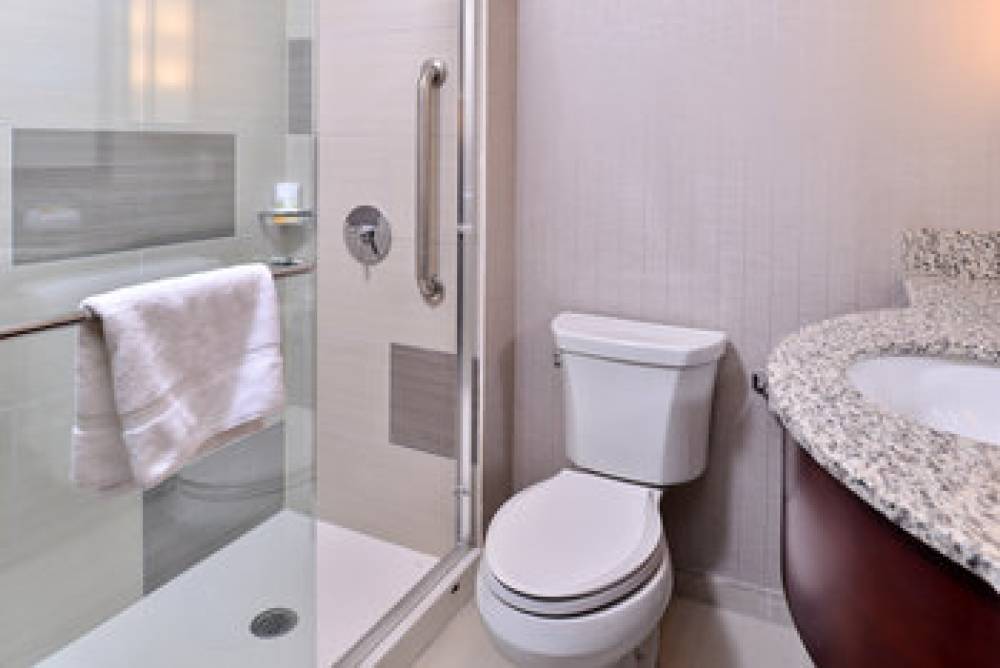 HOLIDAY INN NYC TIMES SQR 10