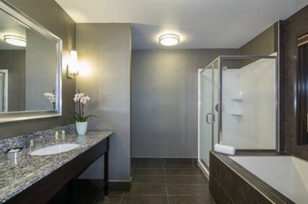 HOLIDAY INN STES SILICON VALLEY MIL 3