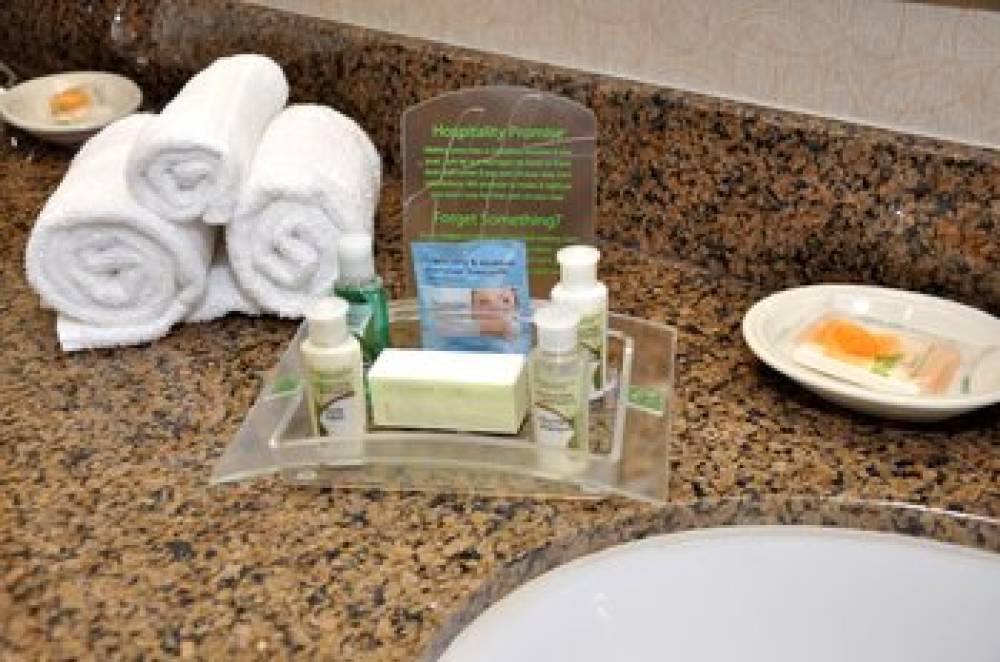 HOLIDAY INN HTL STES AIRPORT 9