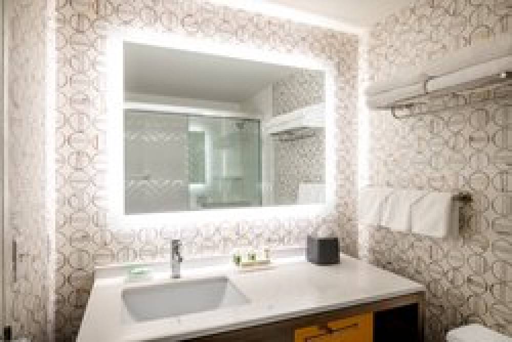 Holiday Inn & Suites PITTSFIELD-BERKSHIRES 4