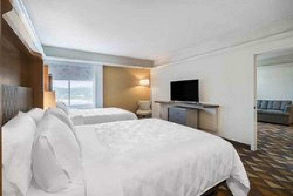 Holiday Inn & Suites PITTSFIELD-BERKSHIRES 9
