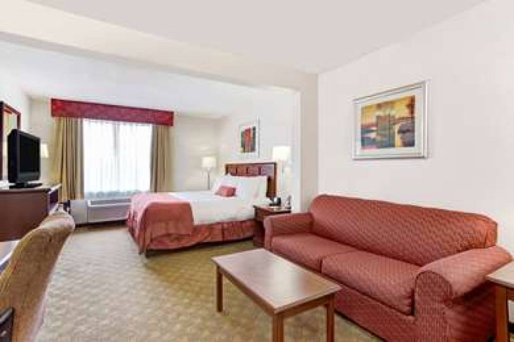 HOLIDAY INN TAMPA NORTH 10