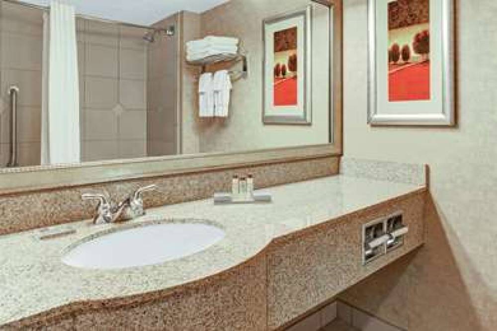 HOLIDAY INN TAMPA NORTH 8