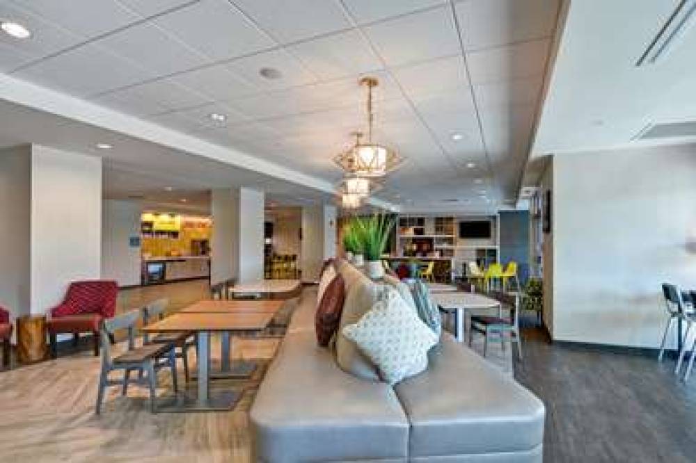 HOME2 SUITES BY HILTON TAMPA USF NE 7
